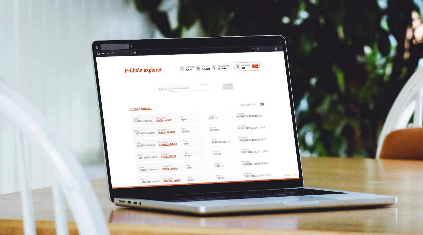P-Chain Explorer dashboard showing validator data